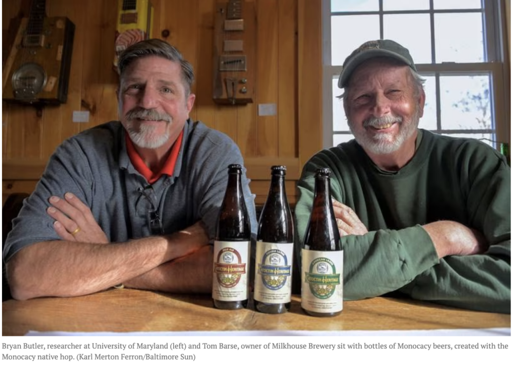 Bryan Butler and Tom Barse sit at a table with three bottles of Monocacy beer.