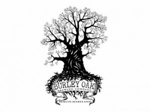 Logo for Burley Oak Brewing Company in Berlin, Maryland, featuring an illustration of an oak tree with exposed roots.